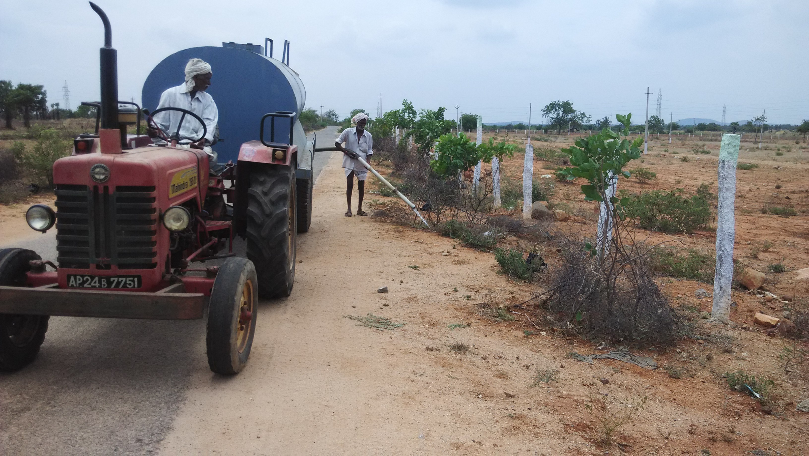https://1ngo.sgp1.digitaloceanspaces.com/media/ards/Road side Avenu plantation.jpg